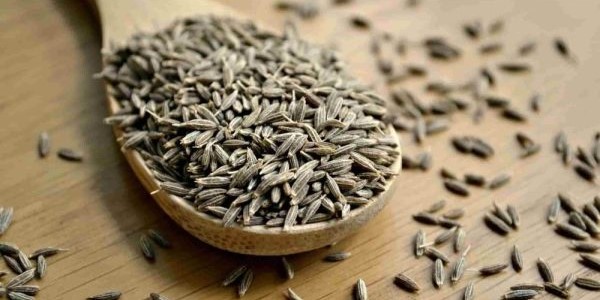 تصویر 4 از قیمت خرید زیره سیاه درجه یک + فروش ویژه